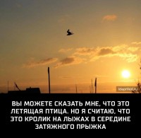 Птица или Кролик