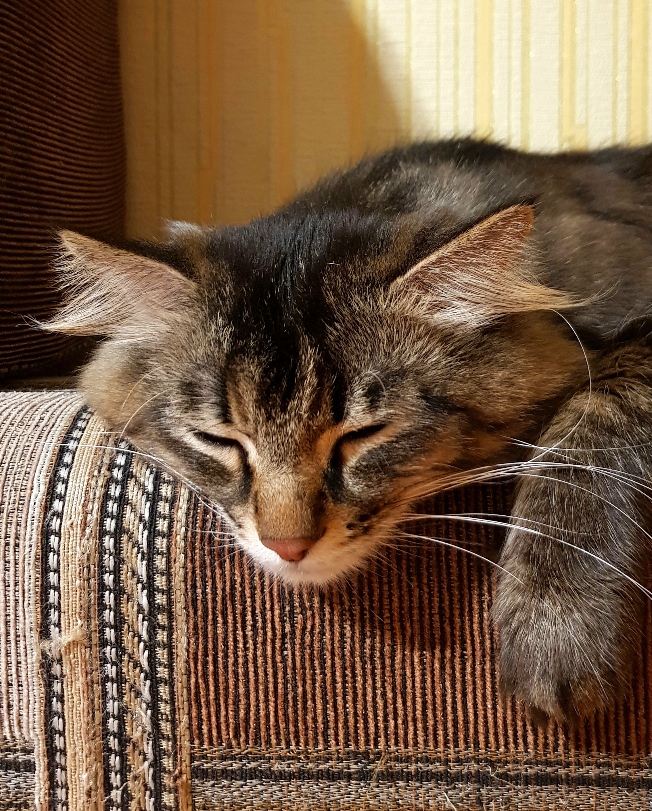 когда никуда не надо))))))