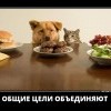 Общие цели Общие цели
