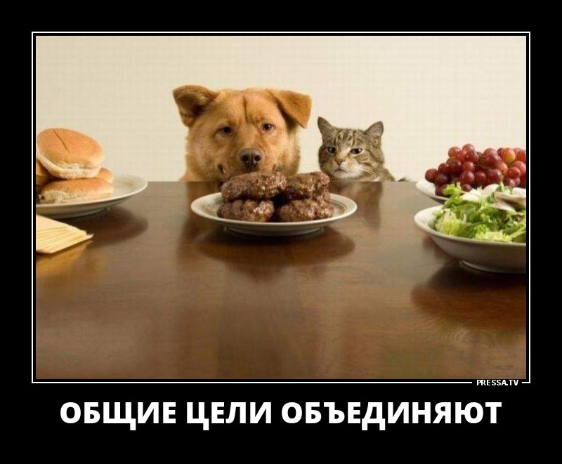 Общие цели