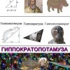 гиппократопотамуза