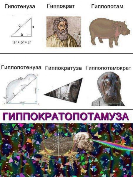 гиппократопотамуза