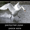 Распустил руки Распустил руки
