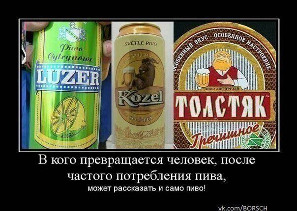 Толстяк