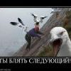 822832 tyi-blyat-sleduyuschij 822832 tyi-blyat-sleduyuschij