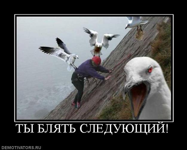 822832 tyi-blyat-sleduyuschij