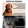 коты vs собаки коты vs собаки