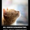Совершенство