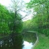 Моё, Санкт-Петербург, город, хорошо