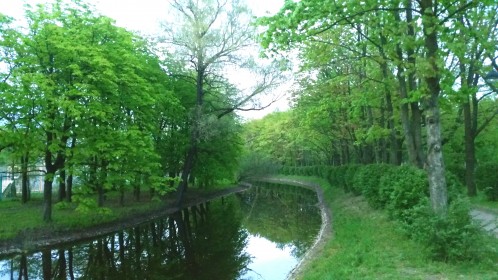 Моё, Санкт-Петербург, город, хорошо