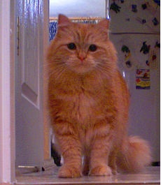 Помогите найти!!