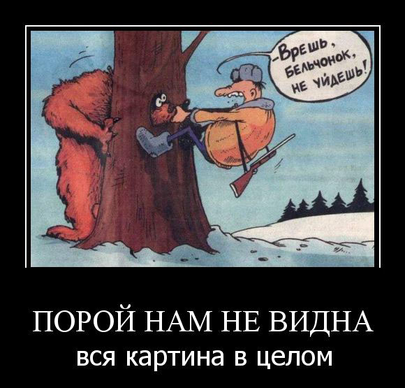 Вся картина