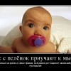 Нас приучают к мысли