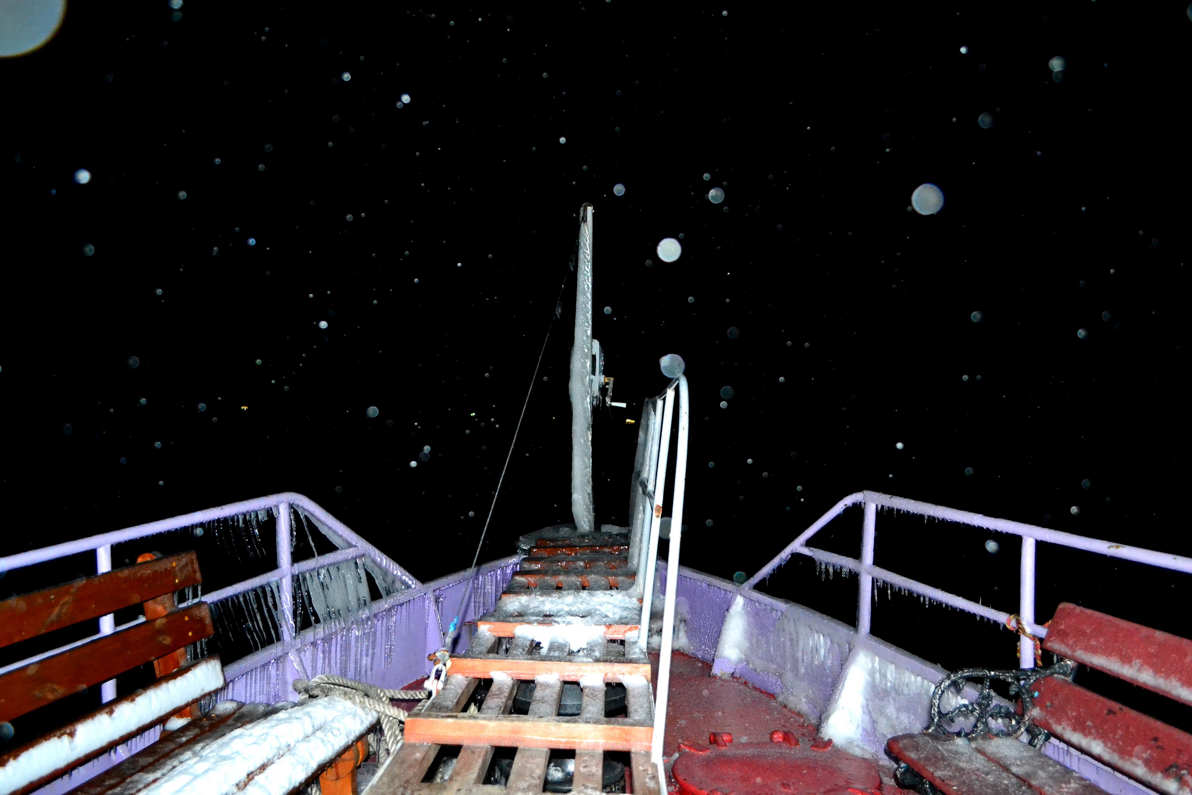 DSC 1713