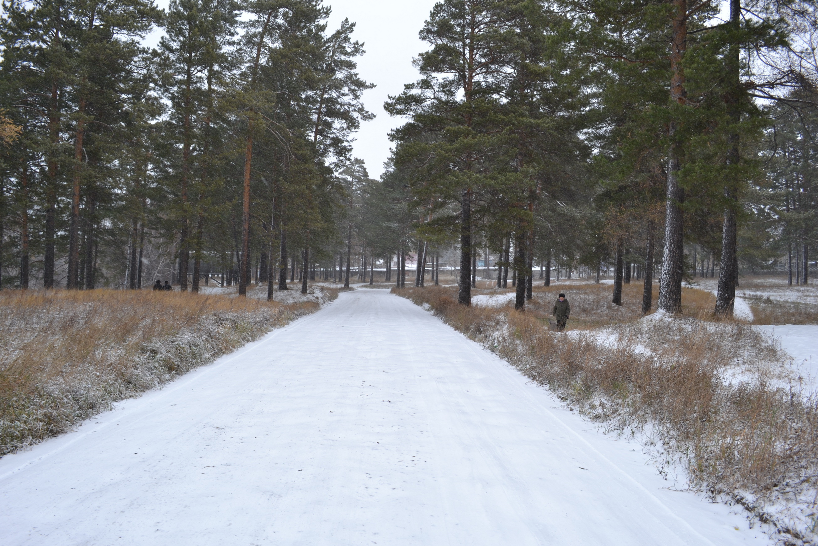 Дарошка актябрьская)))))