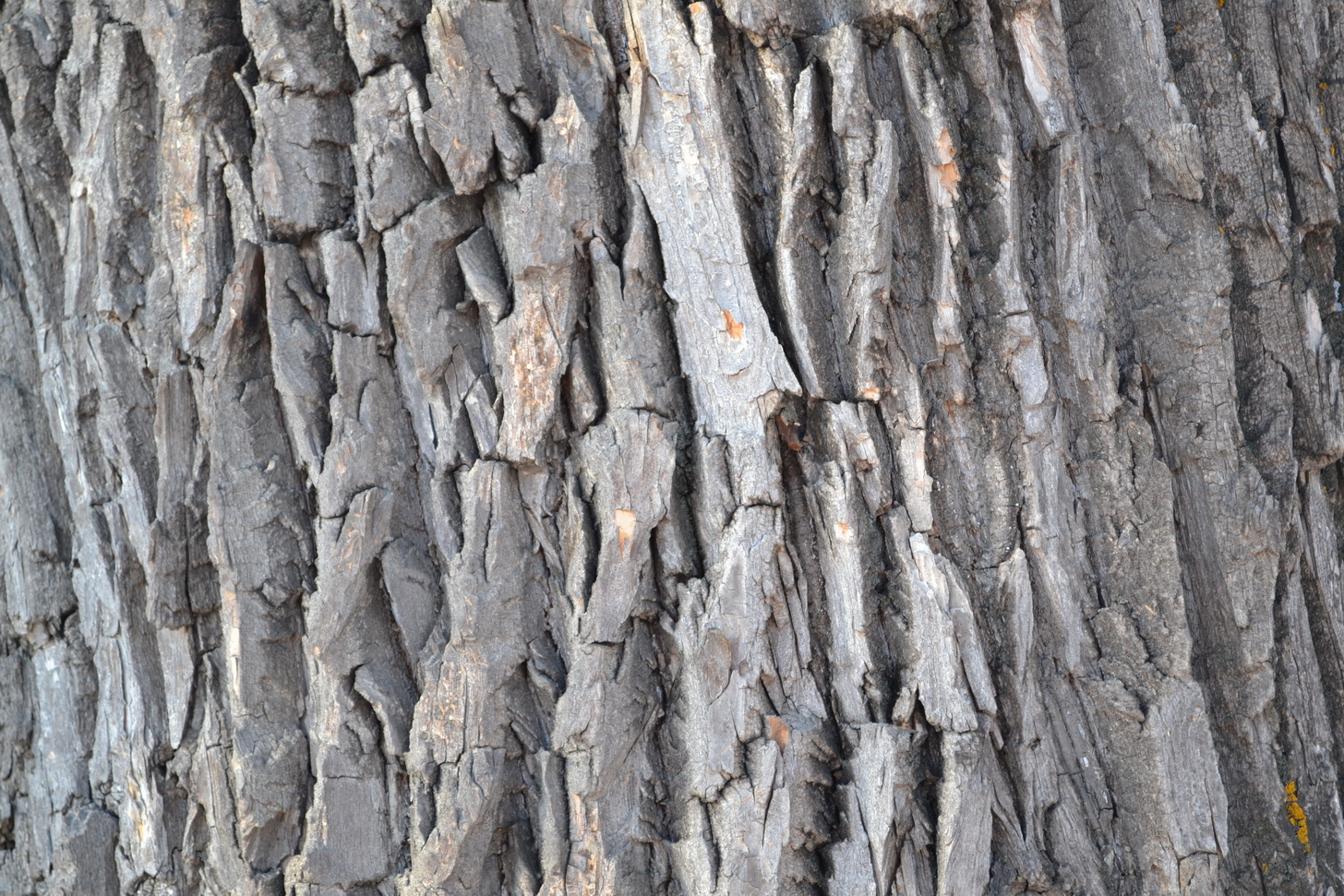 Деревянная прогулка))))))