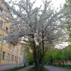 на Саянской цвет 20140516_213407