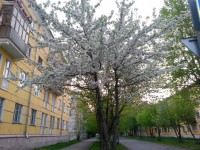 на Саянской цвет 20140516_213407