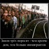Закон трёх поросят