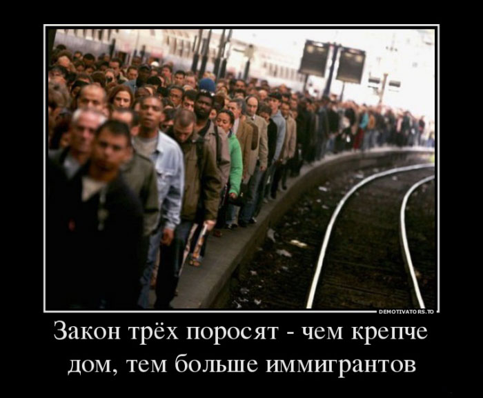 Закон трёх поросят