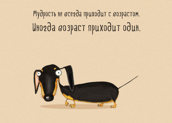 Мудрость