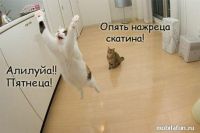 С пятницой)))
