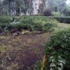 Двор в Щелково. Двор в Щелково.