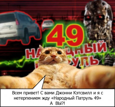 (известный котоблоггер) (известный котоблоггер)