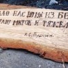 защитники Родины