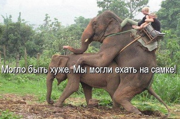 Могло быть-хуже