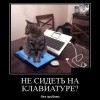 Не сидеть на клавиатуре