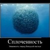 Сплоченность