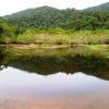 Водяному бы понравилось такое жилище Водяному бы понравилось такое жилище