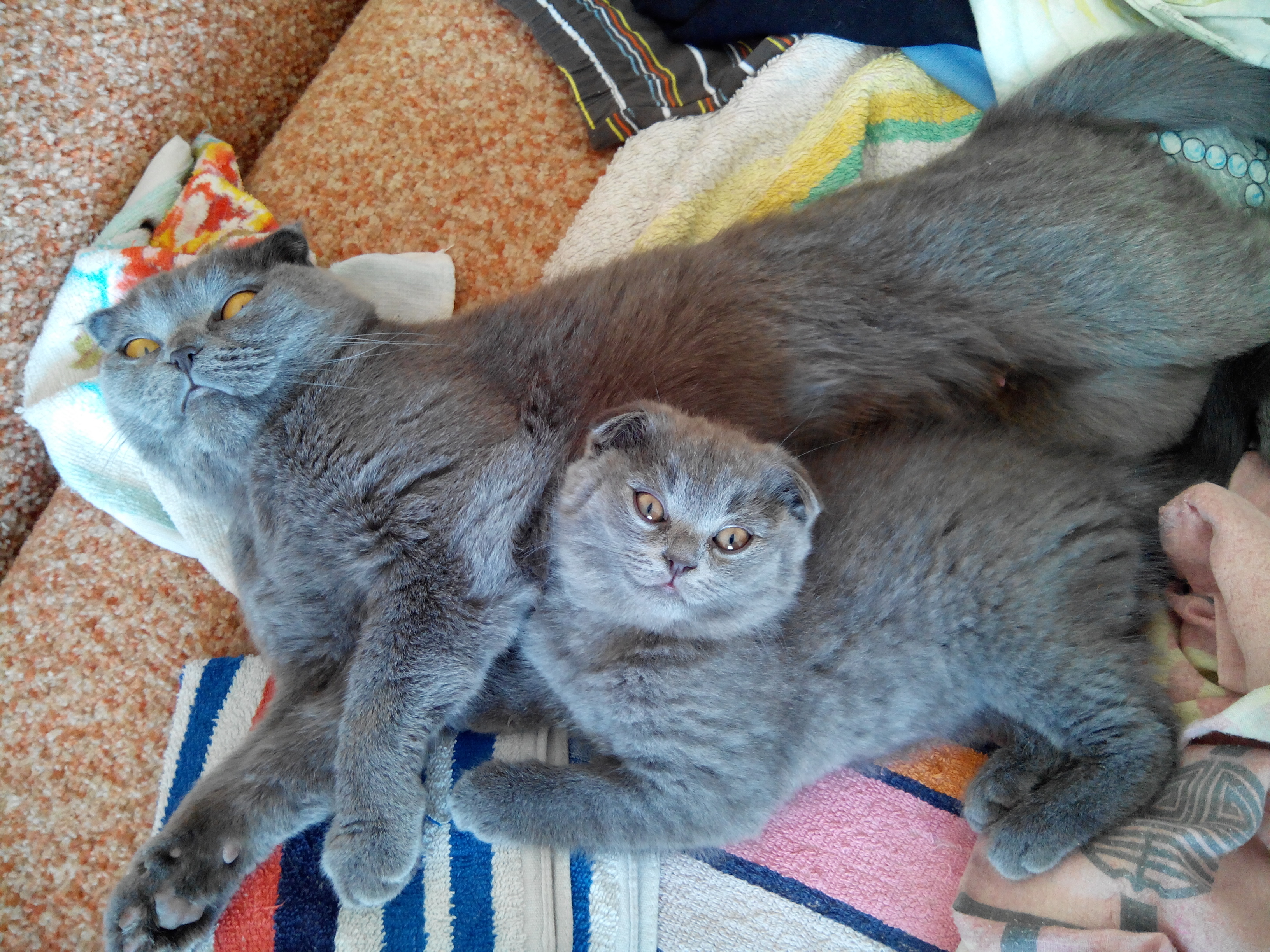 в них кто то вселился=)