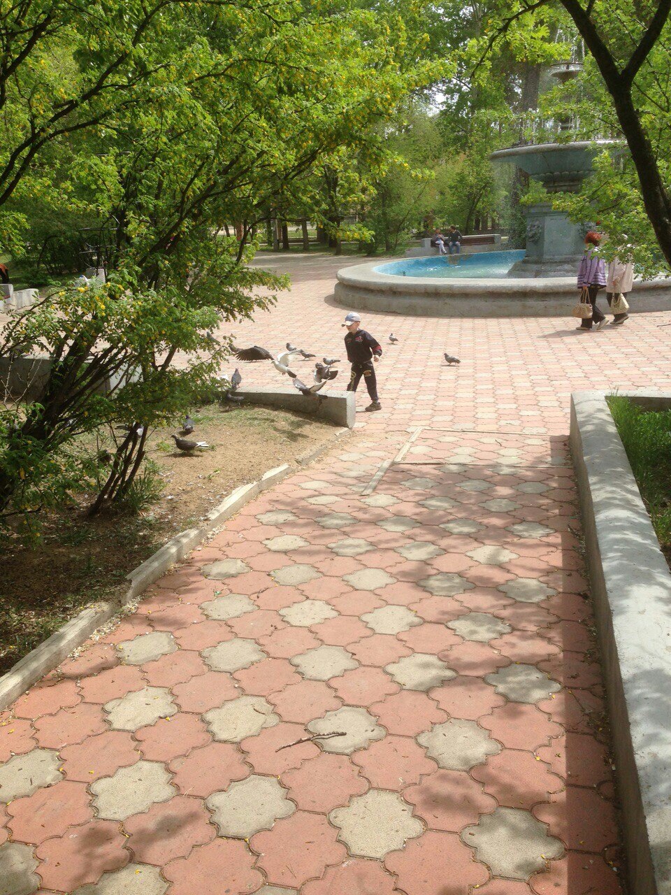 Дети и голуби