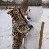 снеговик и поедатель морковок))