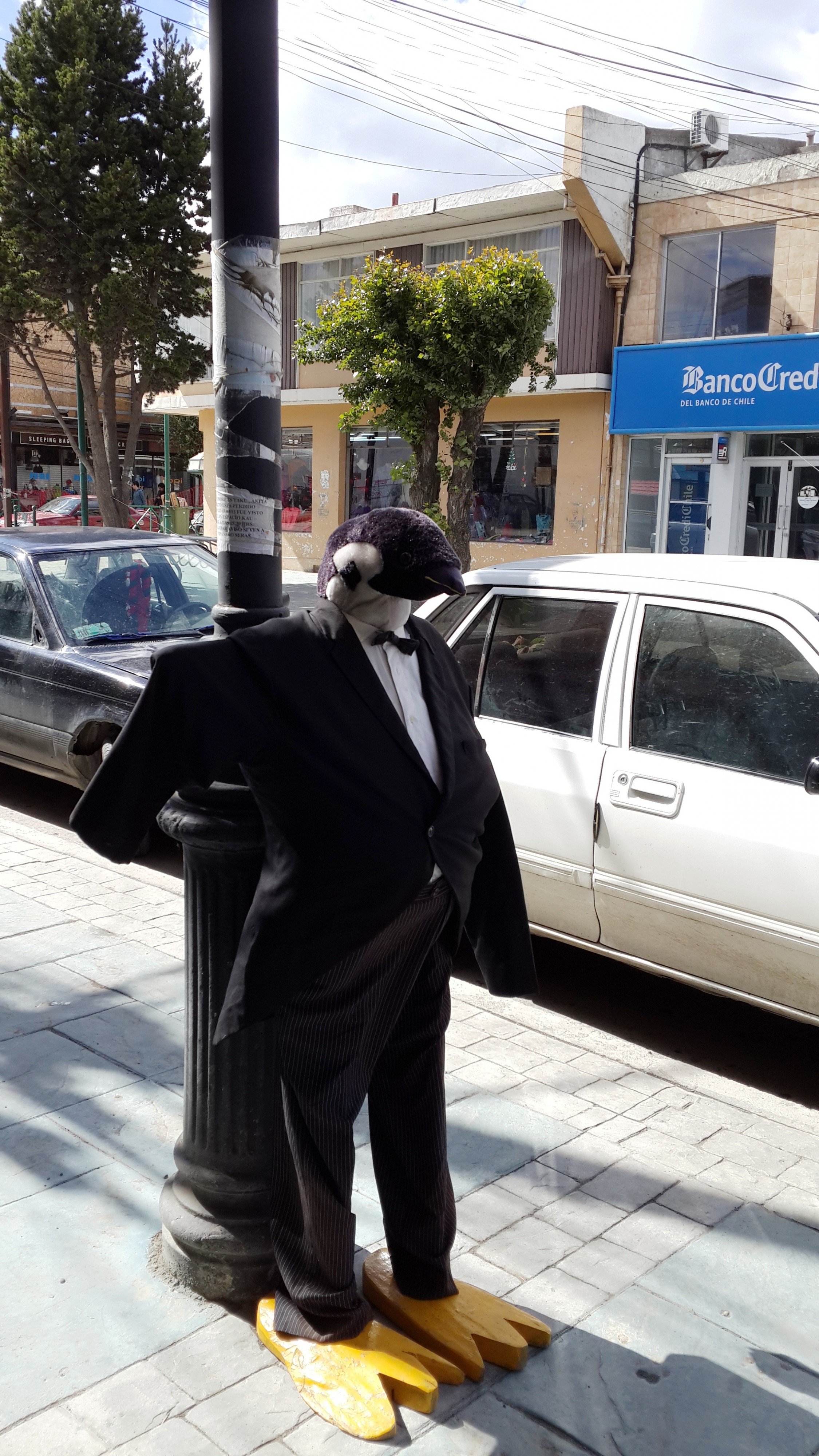 пингвинистая мусорка в Пуэрто-Наталесе