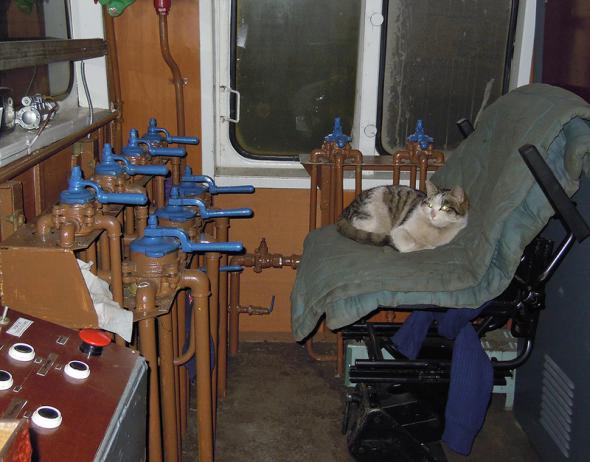 Котэ машинист3