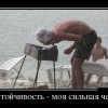 Настойчивость Настойчивость