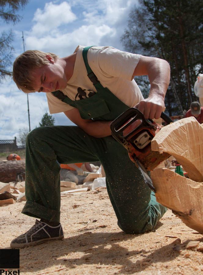 Международный фестиваль деревянной скульптуры "Лукоморье" 2013