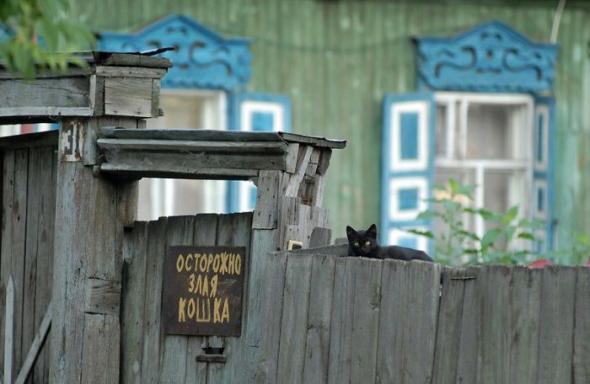 Котэ