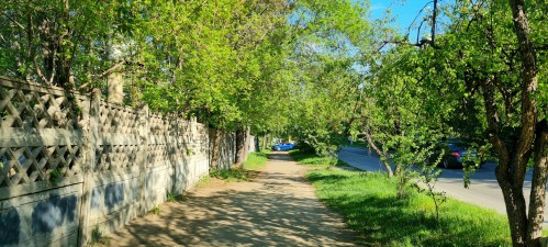 улица Рыночная июнь)))) улица Рыночная июнь))))