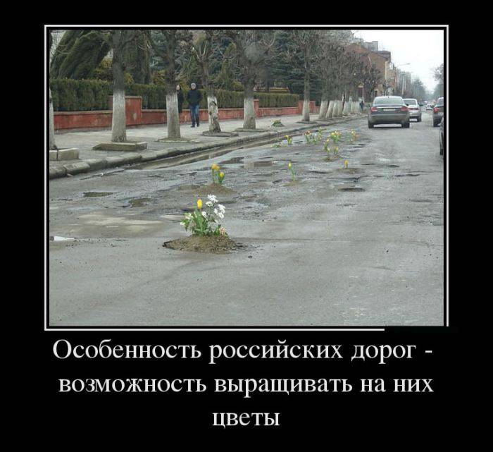 Цветы жизни...