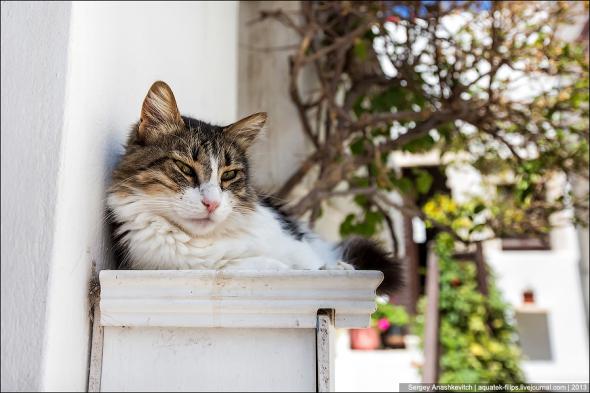 Котэ