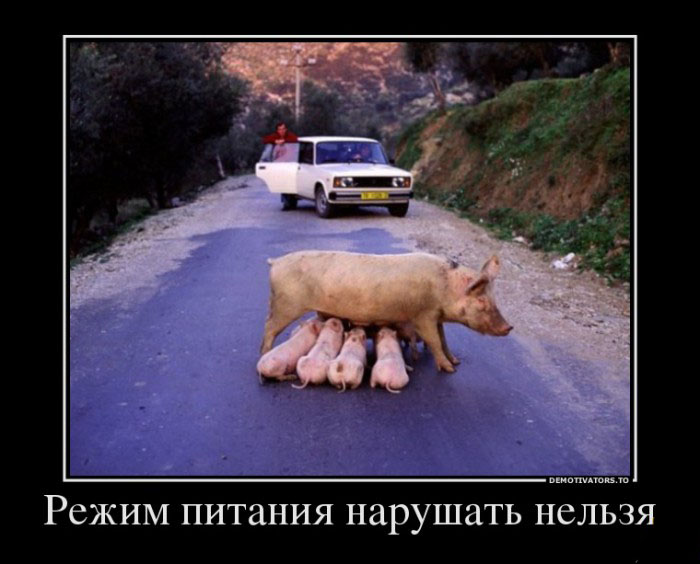 Режим питания нарушать нельзя