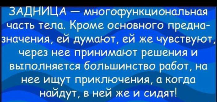 Задница