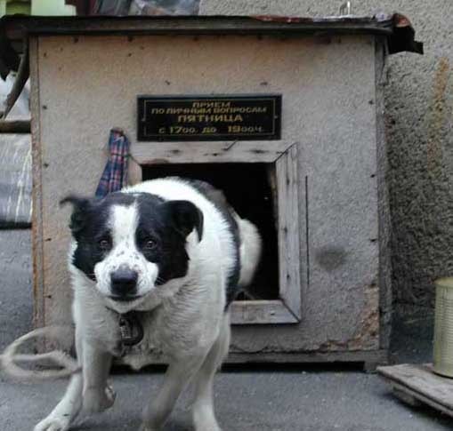 Последнее фото..