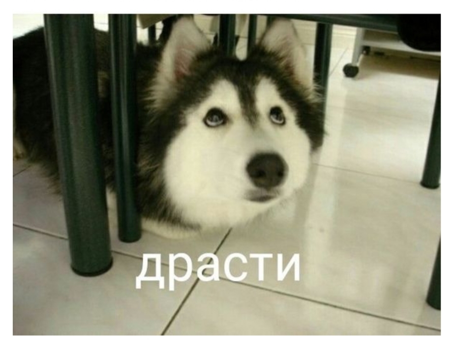 драаааасти)))))