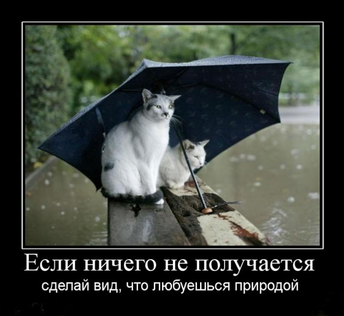 Сделай вид...