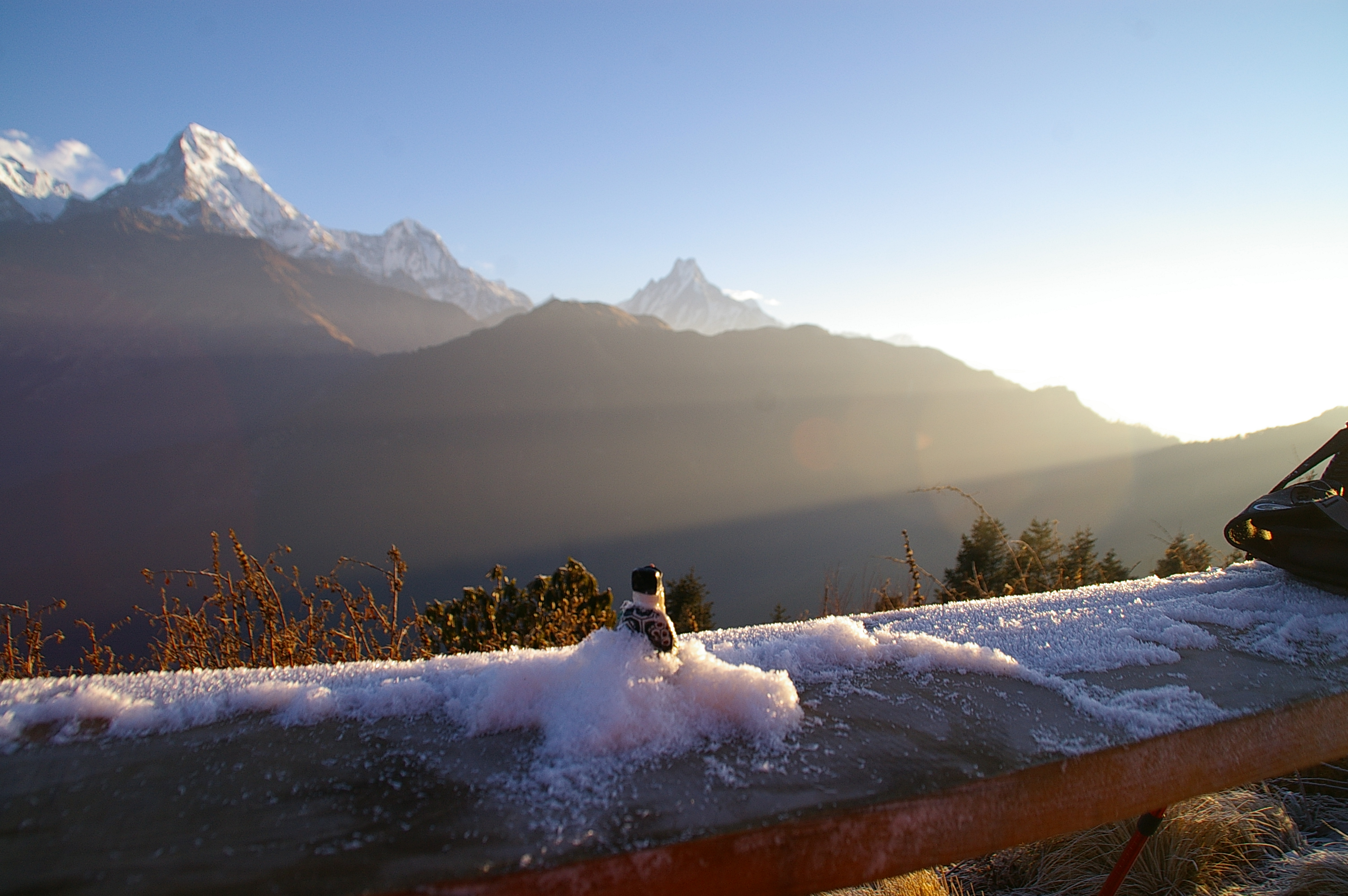 Новогоднее утро